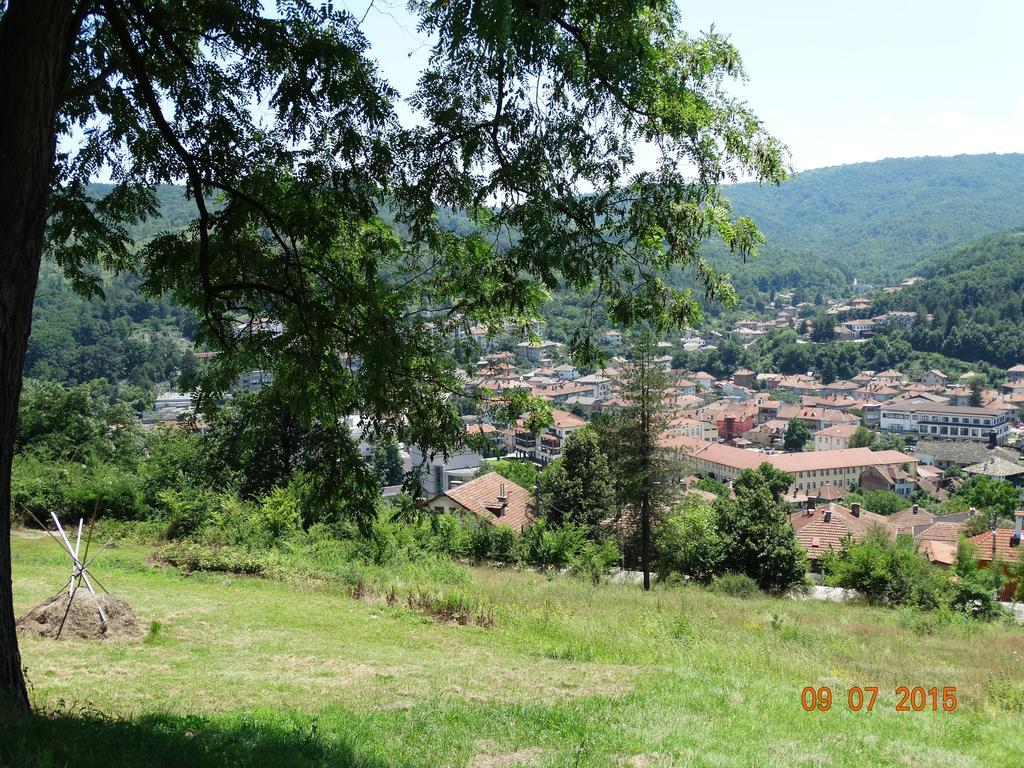 Complex Brashlyan Hotel 2*
