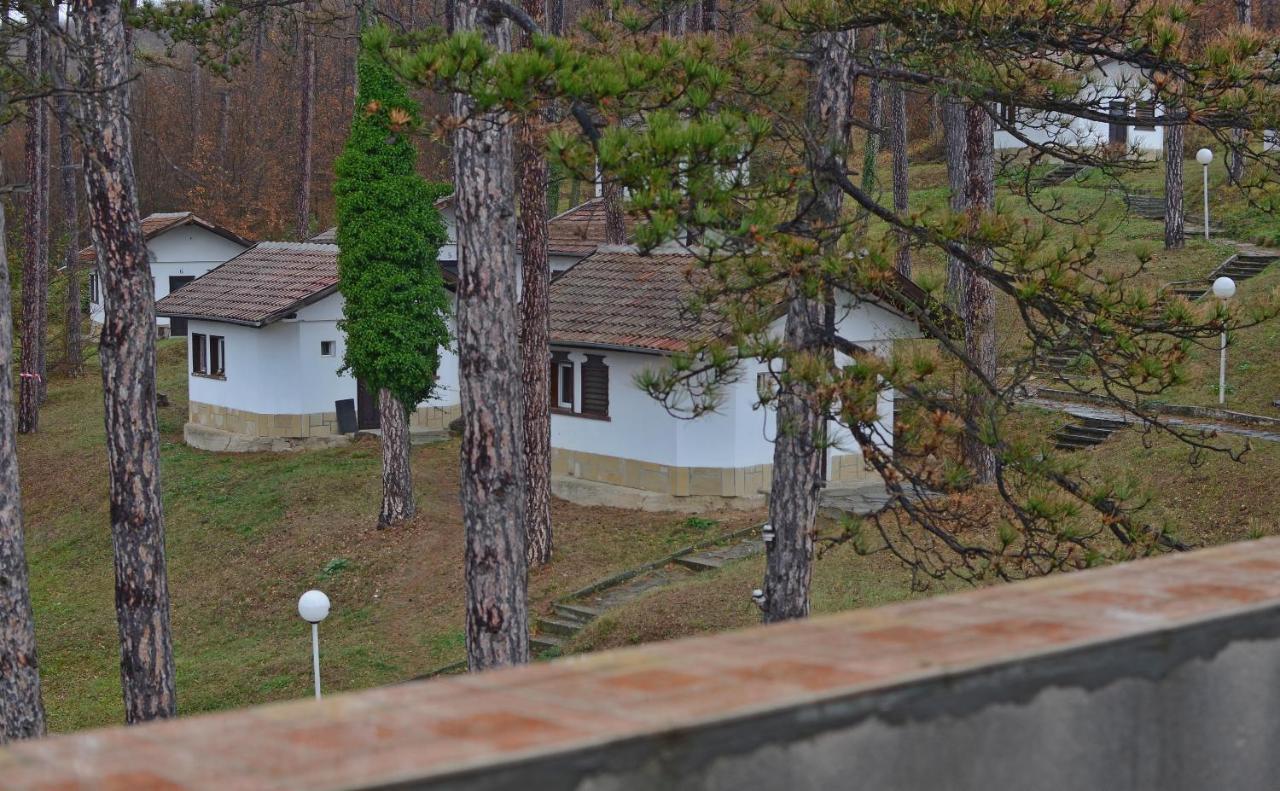 Hotel Complex Brashlyan