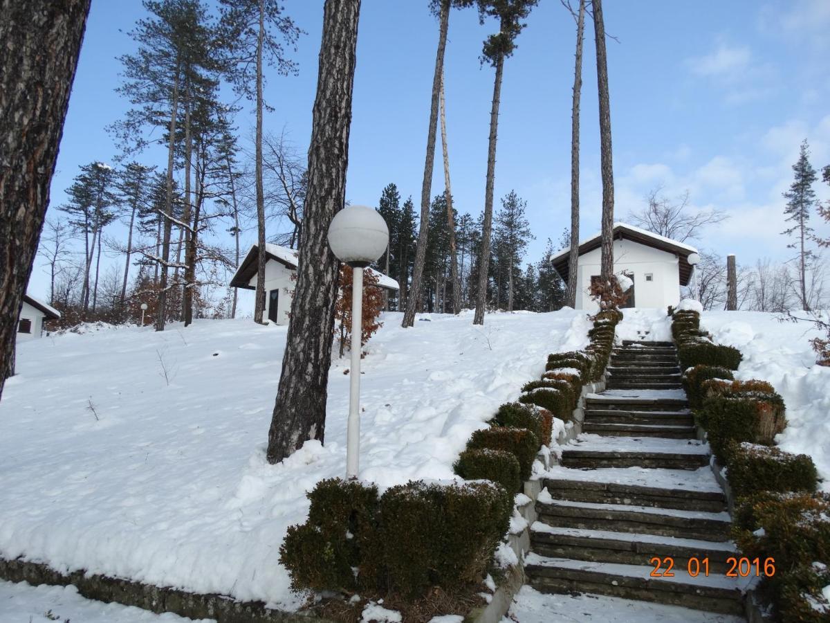 Hotel Complex Brashlyan