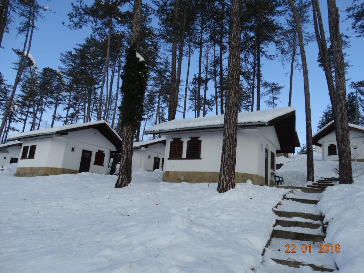 Complex Brashlyan 2* Treavna